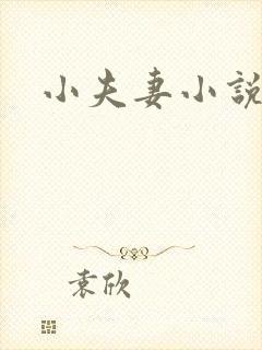 小夫妻小说