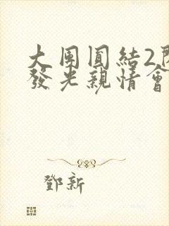 大团圆结2闪闪发光亲情会