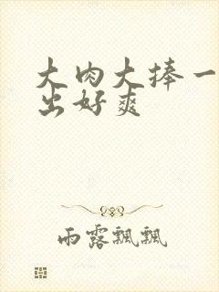 大肉大捧一进一出好爽