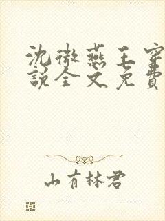 沈微燕王穿越小说全文免费阅读