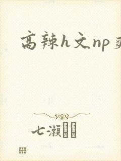 高辣h文np爽