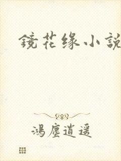 镜花缘小说