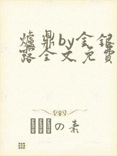 炉鼎by金银花露全文免费阅读笔趣阁
