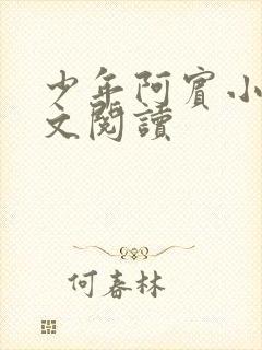 少年阿宾小说全文阅读