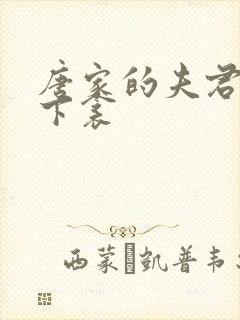 唐家的夫君们帘下衾