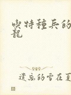 吃特种兵的大黑龙