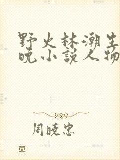 野火林潮生林晚晚小说人物野火