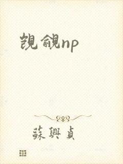 觊觎np
