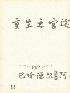 重生之官途辉煌