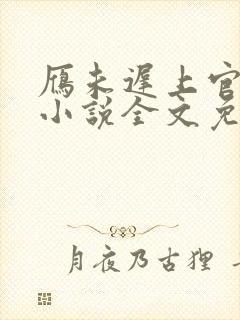 雁未迟上官穿越小说全文免费阅读