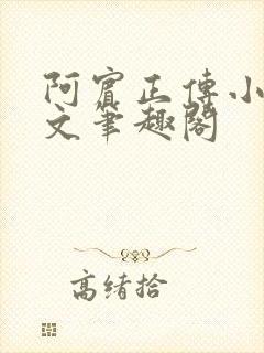 阿宾正传小说全文笔趣阁