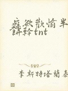 瘾欲欢愉半块小饼干tnt