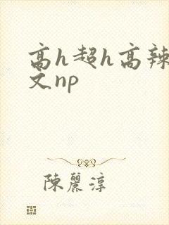 高h超h高辣h文np