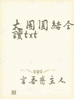 大团圆结全文阅读txt