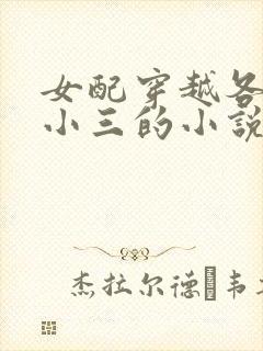 女配穿越各个做小三的小说