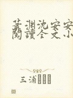 萧渊沈安安免费阅读全文小说