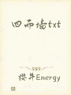四面墙txt