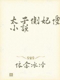 太子侧妃傻乎乎小说