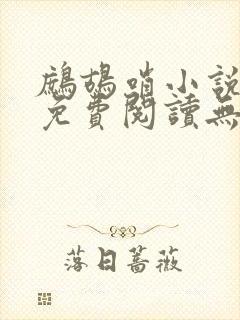 鹧鸪哨小说网站免费阅读无弹窗