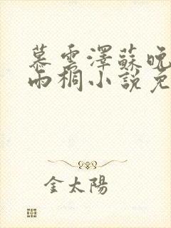 慕云泽苏晚晴夏雨桐小说免费阅读