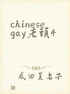 chinesegay老头4