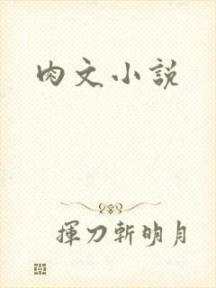 肉文小说