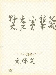 野火小说父女全文免费笔趣阁