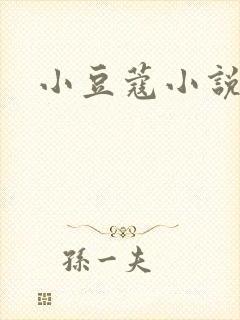 小豆蔻小说