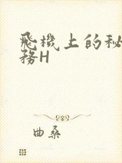 飞机上的秘密服务H