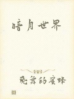 暗月世界