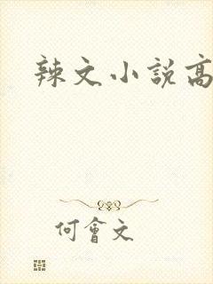 辣文小说高h