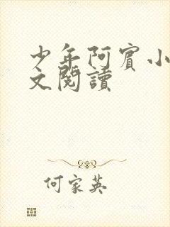 少年阿宾小说全文阅读