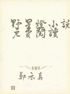 野星灯小说全文免费阅读