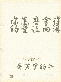 你怎么舍得让我的爱流向海