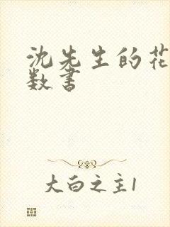 沈先生的花式调数书