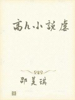 高h小说虐