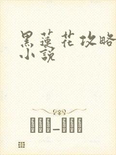 黑莲花攻略手册小说