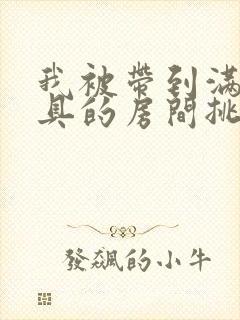 我被带到满是玩具的房间挑调作文