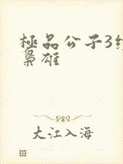 极品公子3续世枭雄