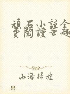 顽石小说全文免费阅读笔趣阁