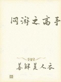 网游之高手寂寞