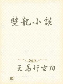 双龙小说