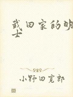 武田家的明国武士