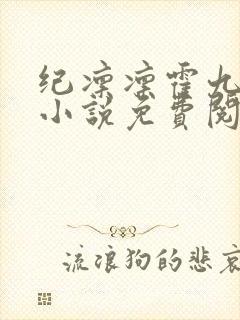 纪凛凛霍九霖的小说免费阅读在线