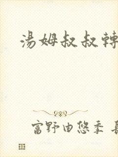 汤姆叔叔转接口