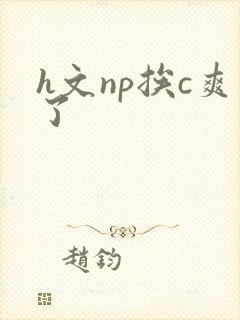 h文np挨c爽了