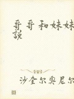 哥哥和妹妹的小说