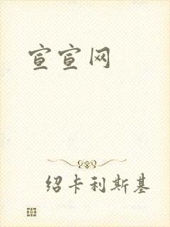 宣宣网