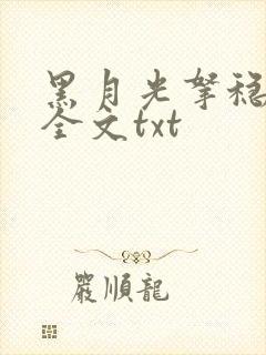 黑月光拿稳小说全文txt