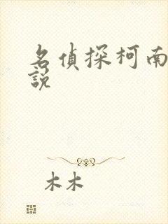 名侦探柯南h小说